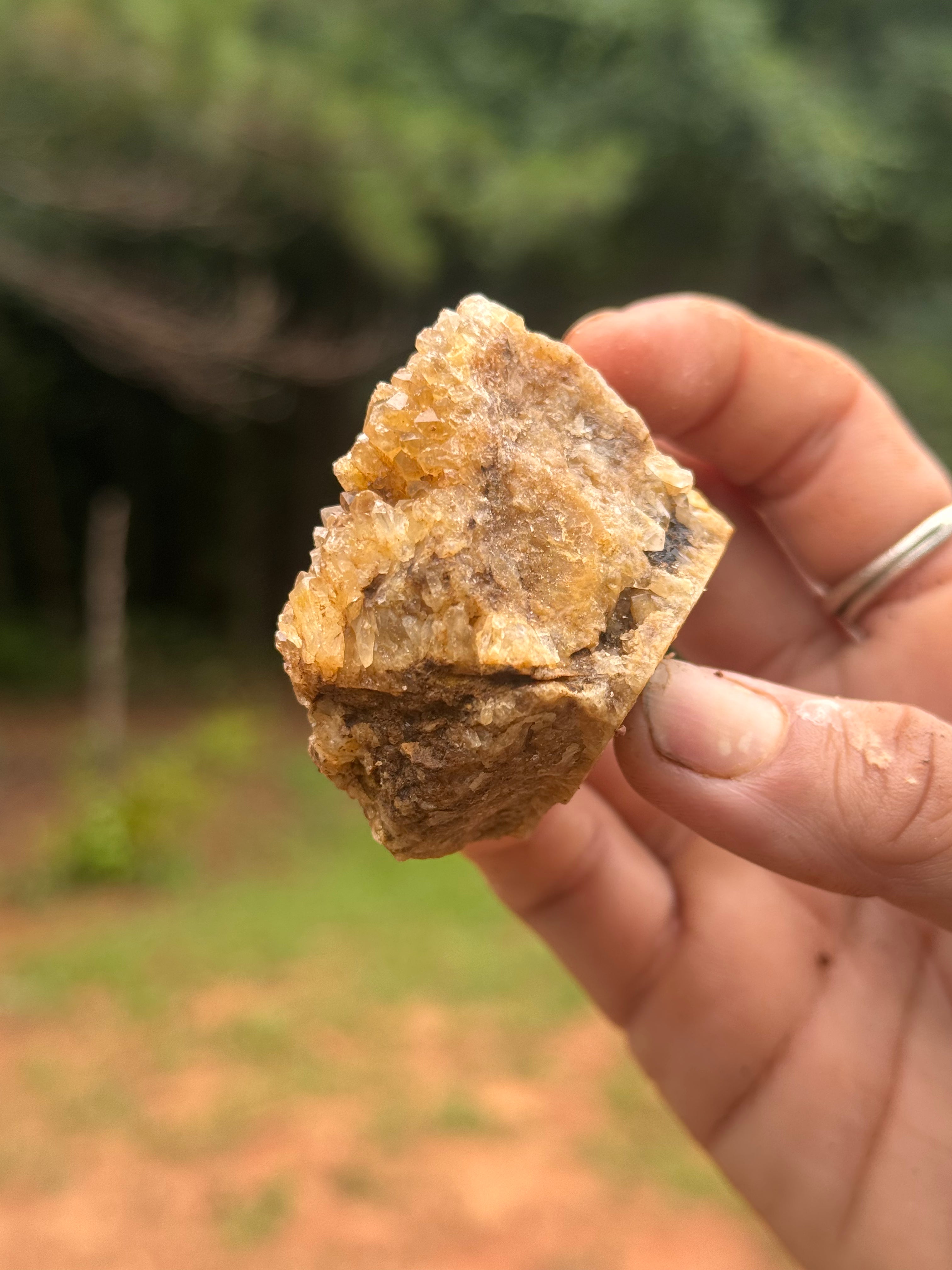 Mini Ferruginous Quartz Vug – Natural Tangerine Golden Healer Druse