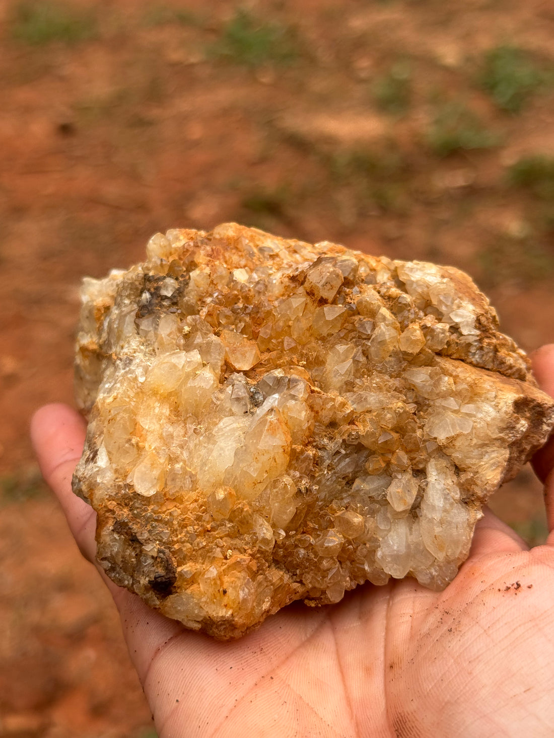 Rough Iron-Stained Quartz Cluster – Natural Golden Healer Crystal Druse