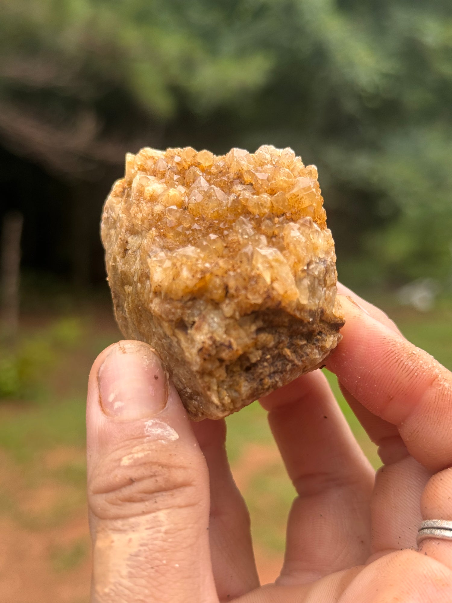 Mini Ferruginous Quartz Vug – Natural Tangerine Golden Healer Druse